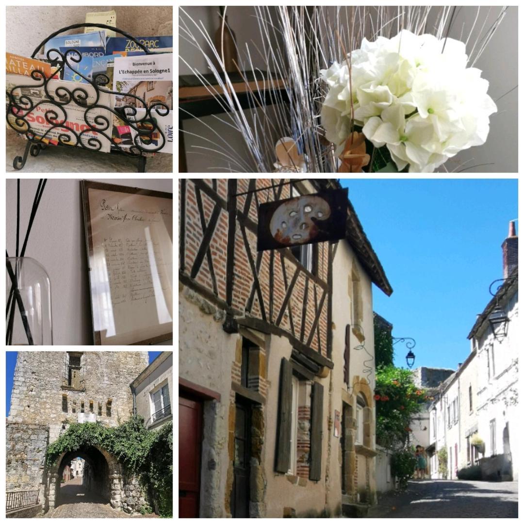L'Echappee En Sologne Villa Mennetou-sur-Cher Buitenkant foto